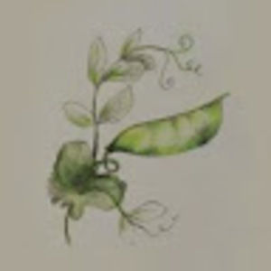 Meet your Posher, Three pea soup